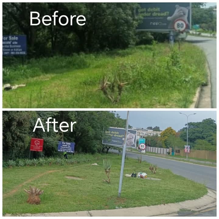 Green space transformation